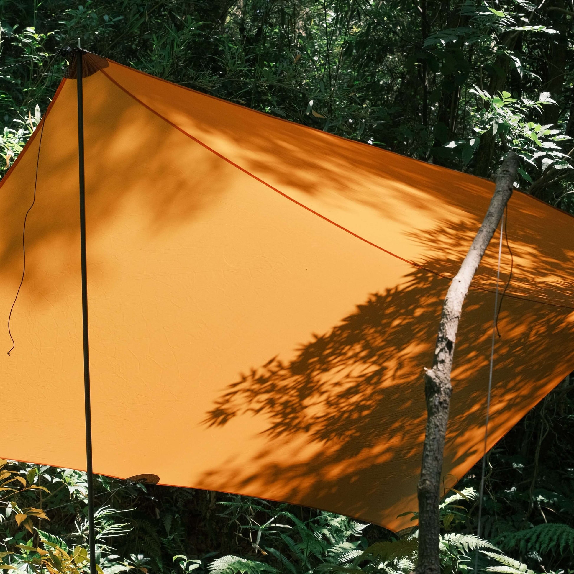 Hammocking Tarp