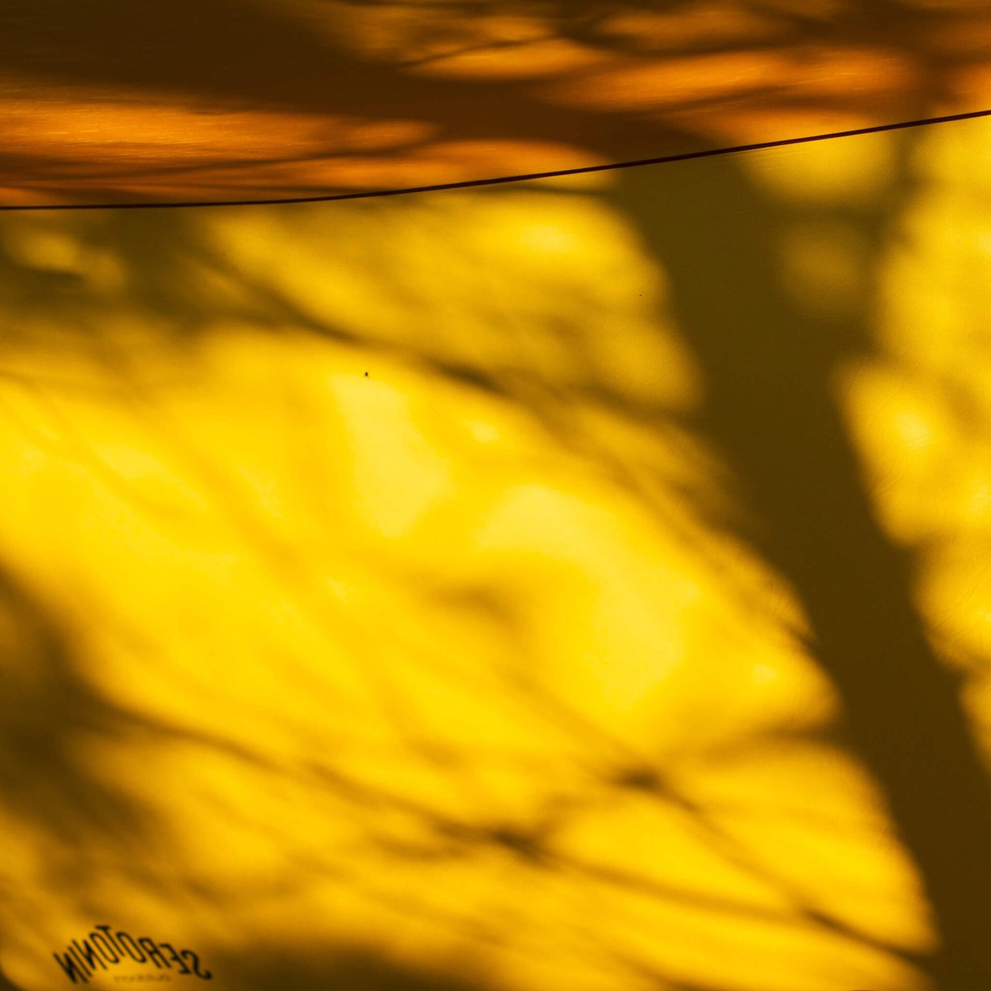 Ultralight Tarp Shelter